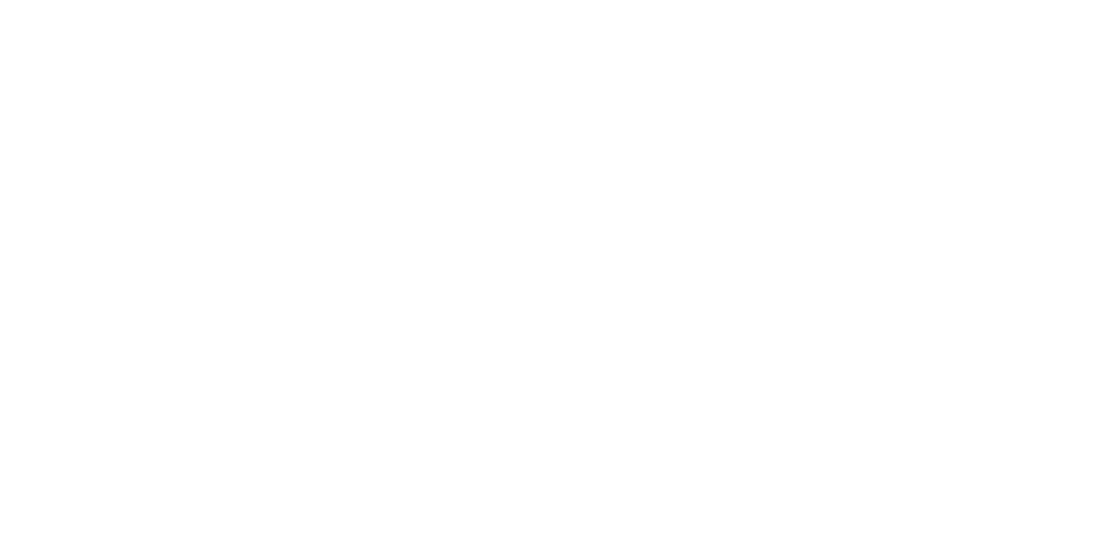 AN-Perfomance-Logo-WHITE